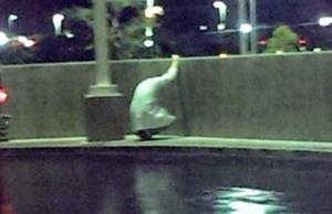 kahrolan-doktor-700x454